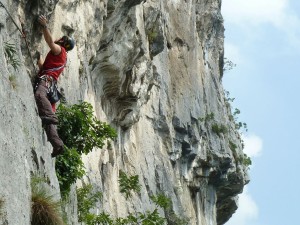 woodoclimb about marco